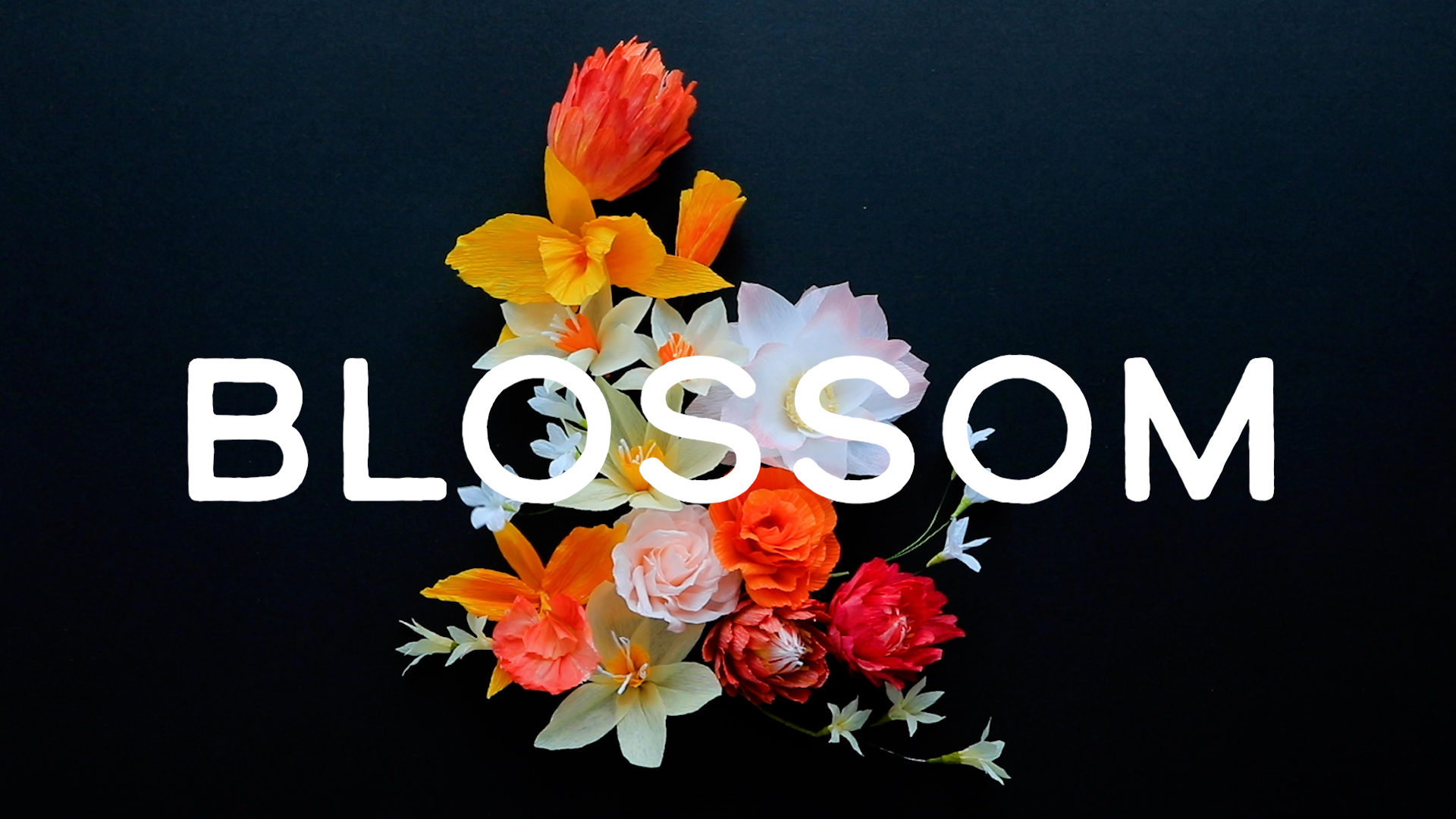 Blossom - short animation